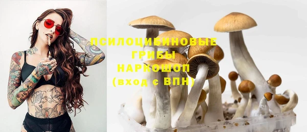 альфа пвп Вяземский