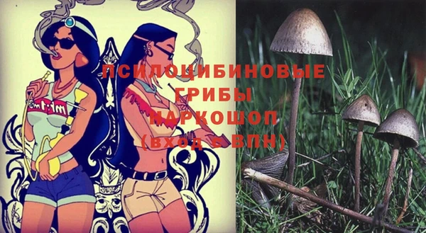 альфа пвп Вяземский