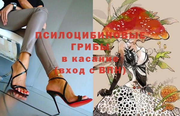 сатива Вязьма