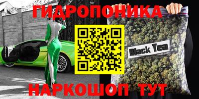 шишки Абинск