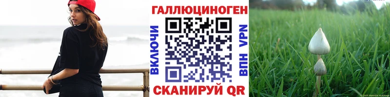 Купить закладки  Нарьян-Мар  Псилоцибиновые грибы Psilocybine cubensis 