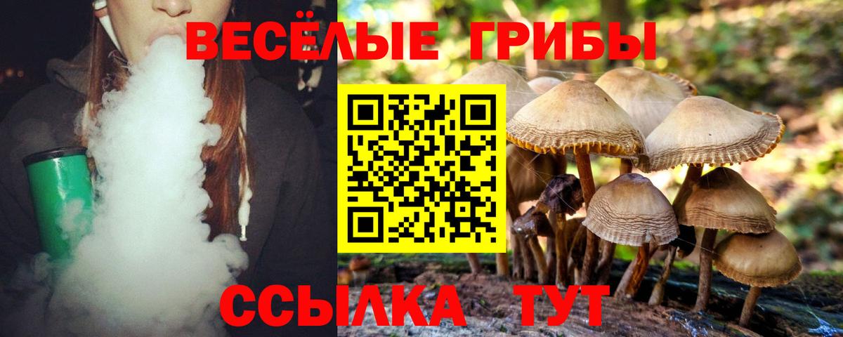 Псилоцибиновые грибы Psilocybine cubensis Нарьян-Мар