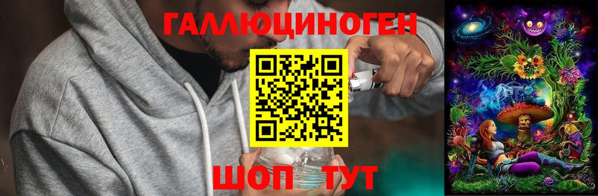 Псилоцибиновые грибы Cubensis Нарьян-Мар