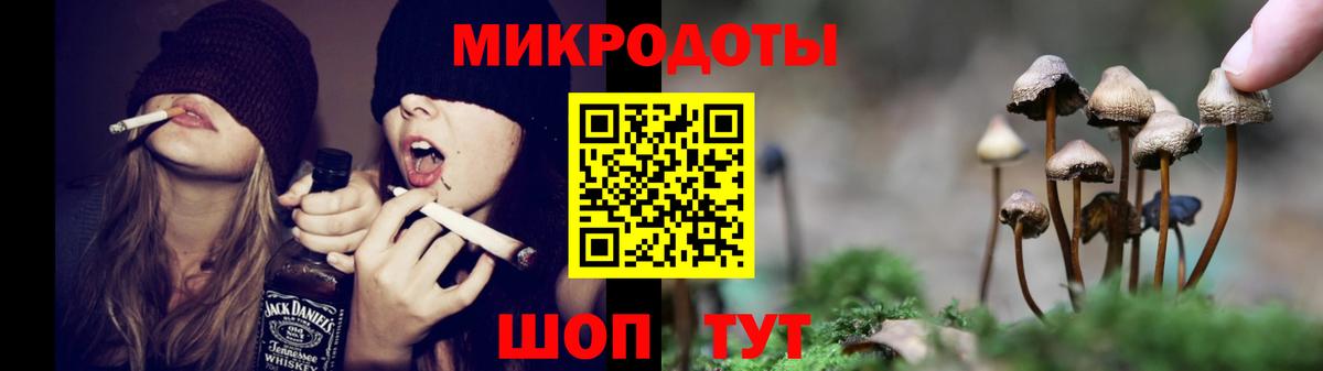 Нарьян-Мар  Галлюциногенные грибы мухоморы  Вход с VPN 